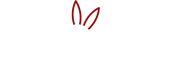 Red Rabbit